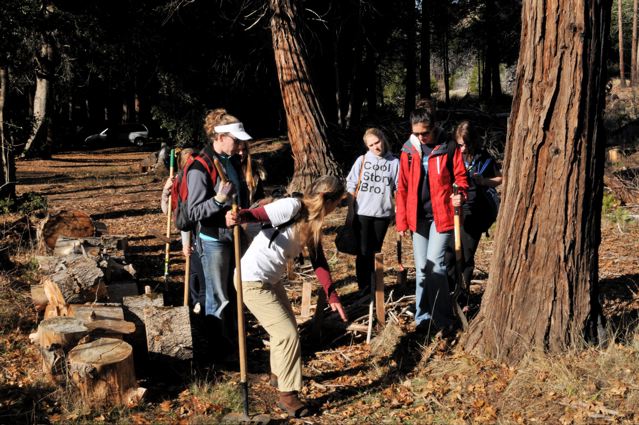 teaching about the bull thistle to be removed from trail