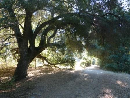 'All About Julian' with Ranger Roger-Saturday, March 8th