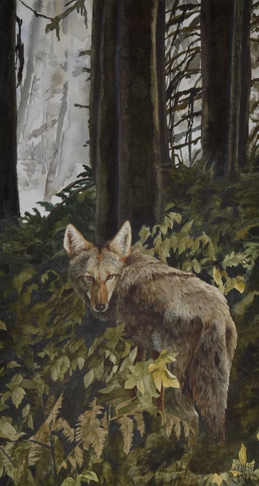 Harp and floral ornaments, wood engraving, published in 1860 royalty-free harp and floral ornaments wood engraving published in 1860 stock vector art & more images of flower