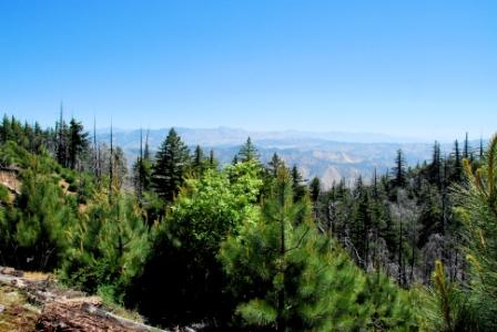 View to the east from the former Geis 50 acre parcel